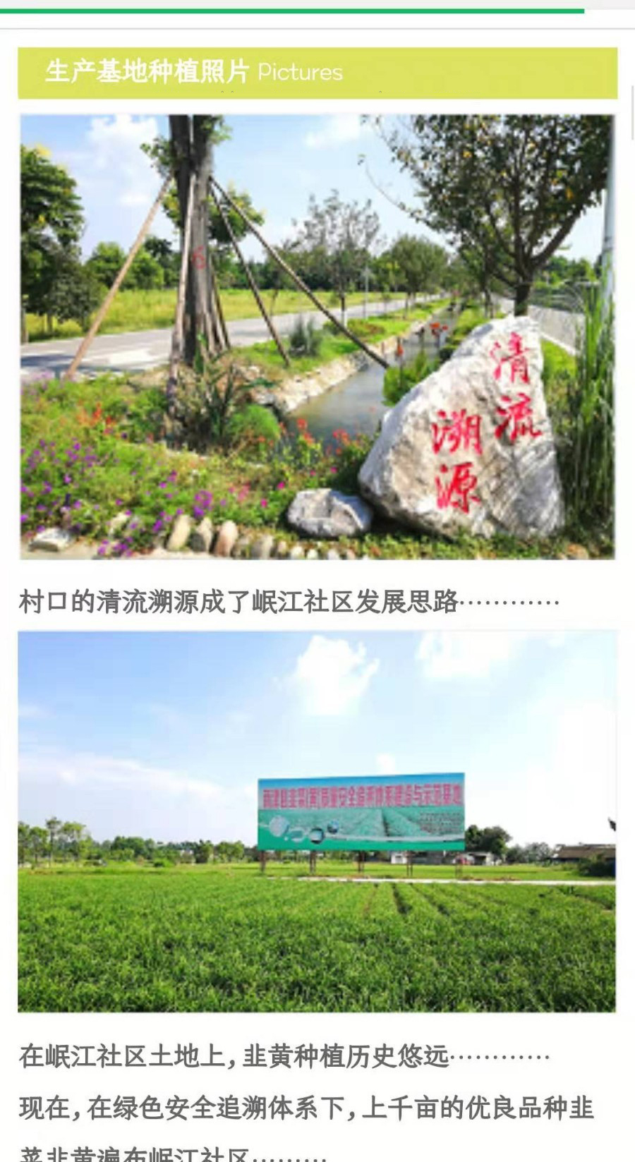 48081eb5cc149a4998ba760e488d2156-(1).jpg